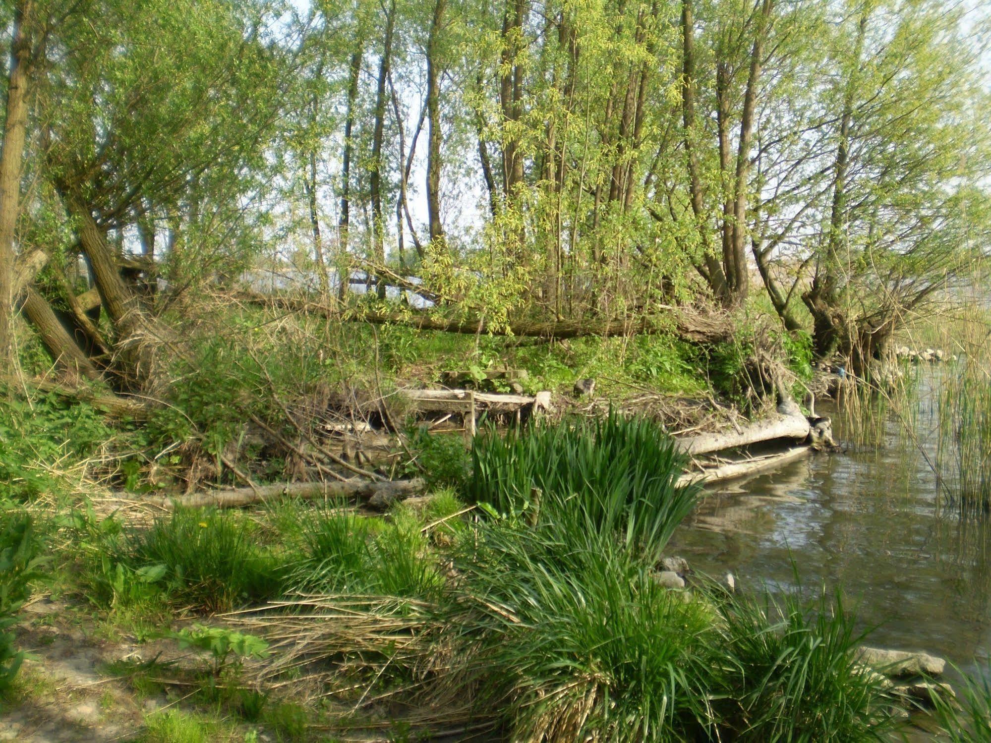 Hotel de Brabantse Biesbosch Werkendam Exterior foto